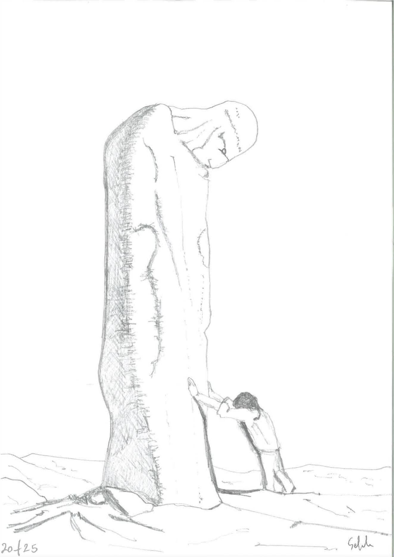 Disegno 12