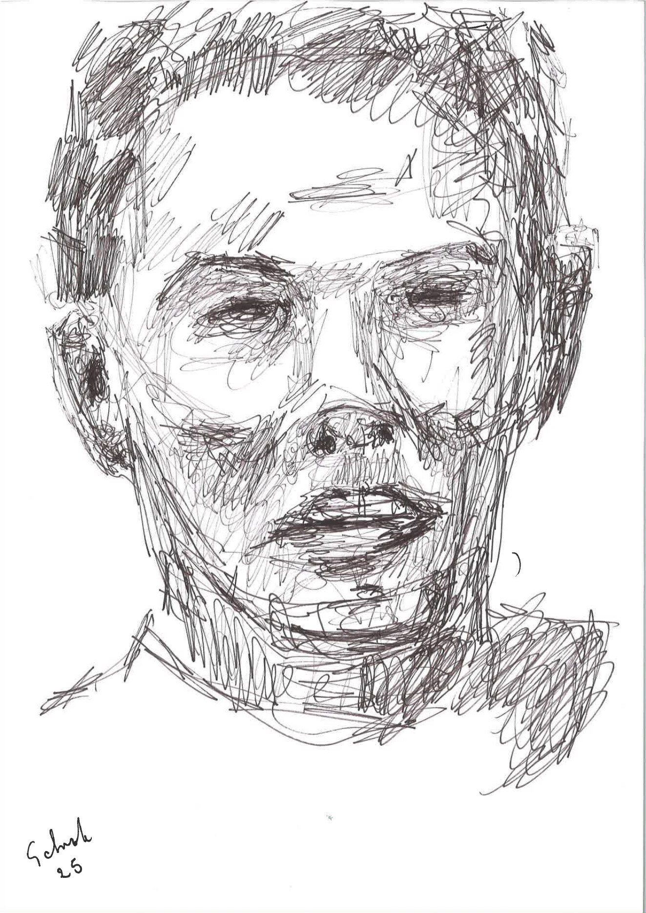 Disegno 13