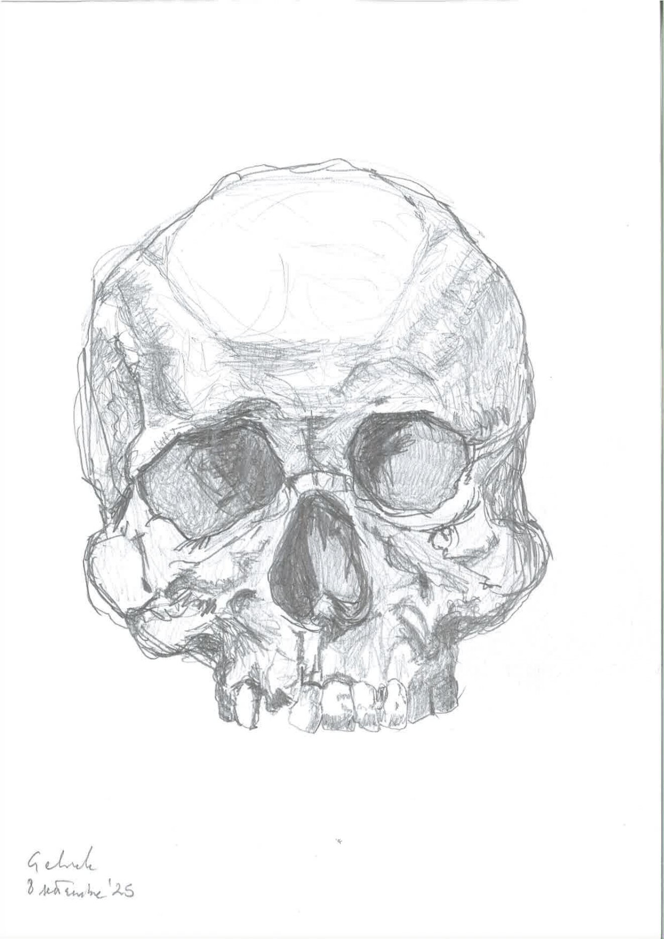 Disegno 15