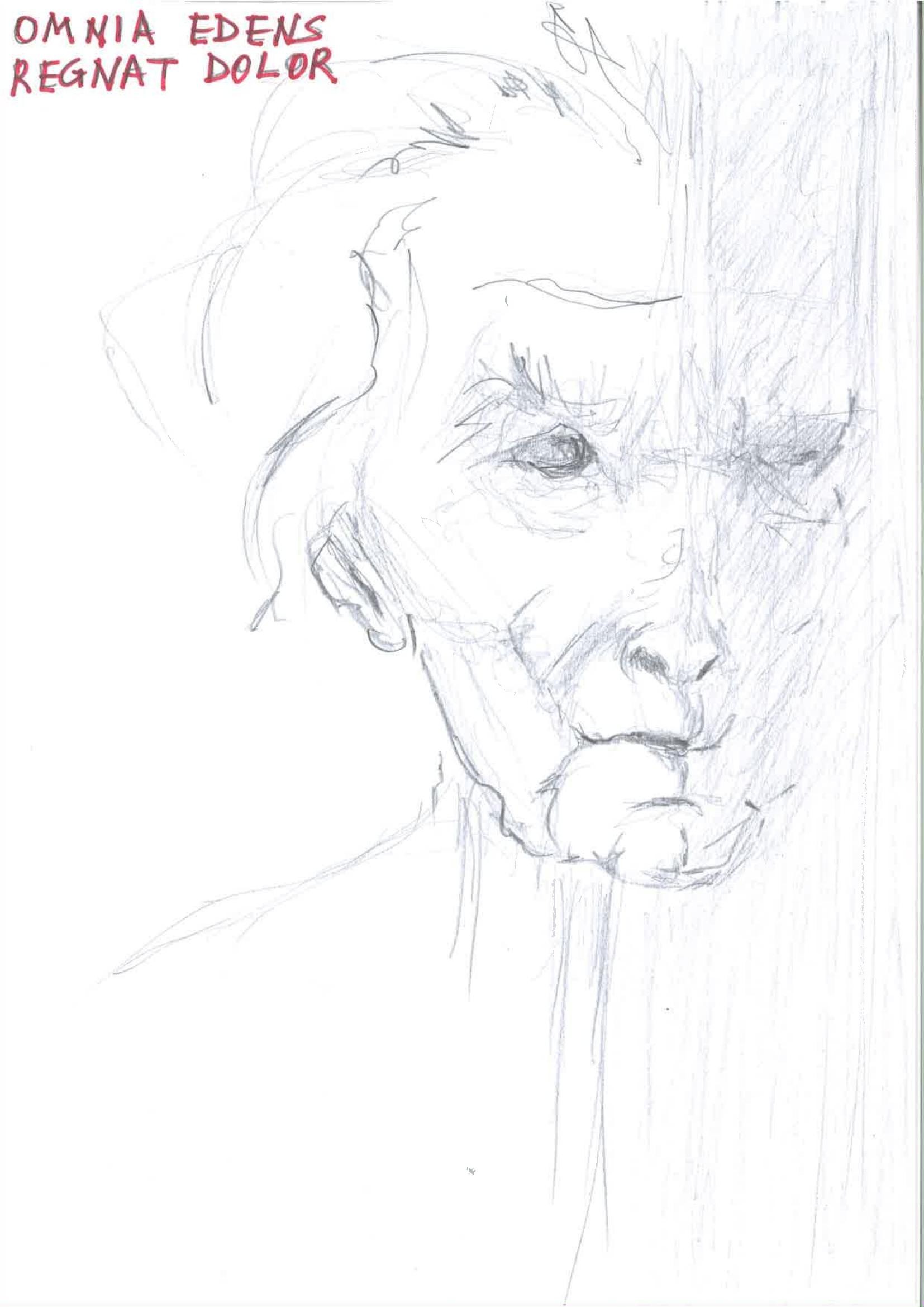 Disegno 17