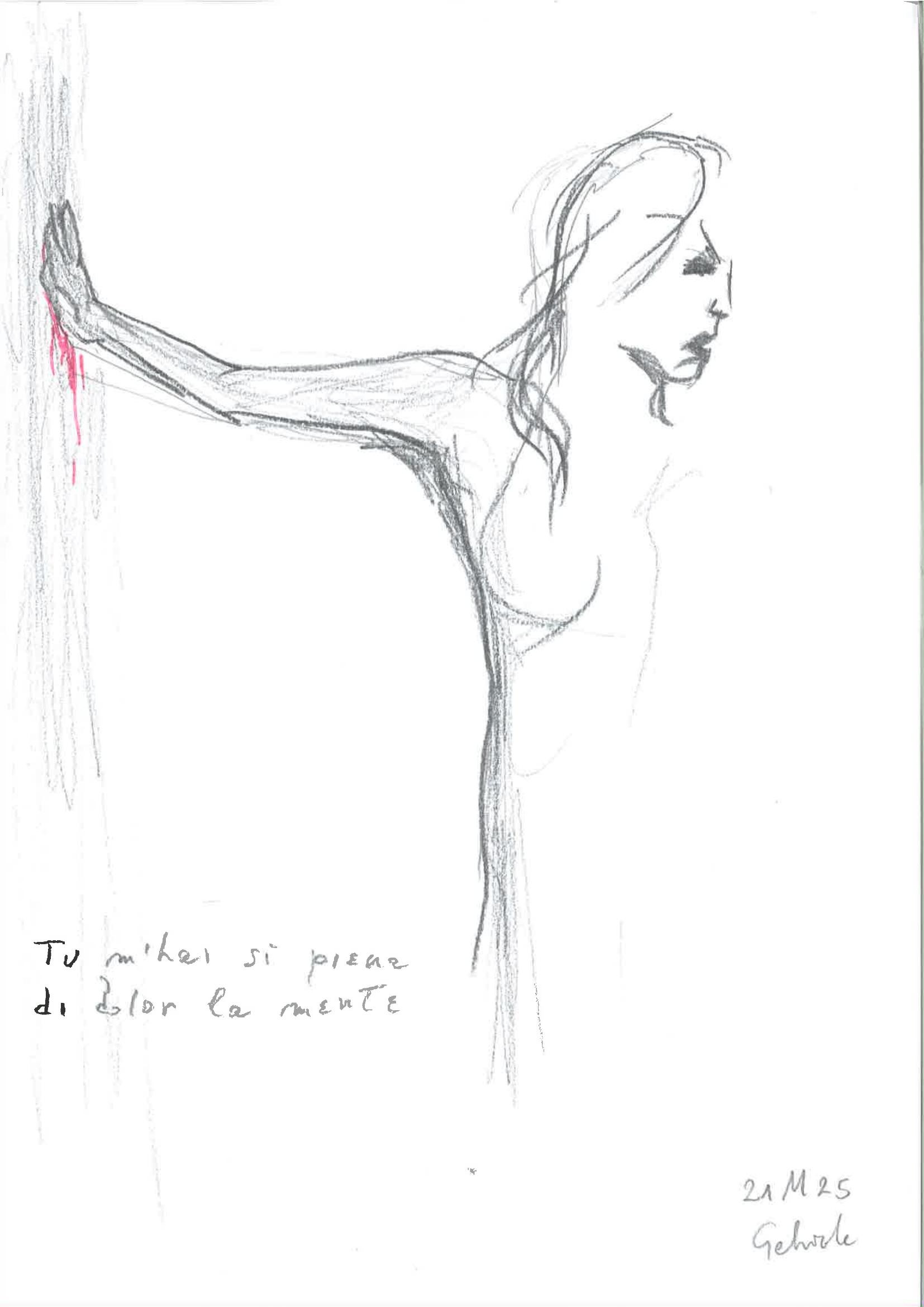 Disegno 19